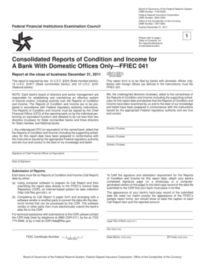 FFIEC 041 Consolidated Reports of Condition and Income