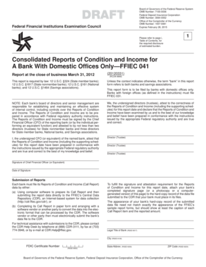 FFIEC 041 Consolidated Reports of Condition and Income
