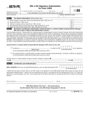 IRS Form 8879-PE 2008