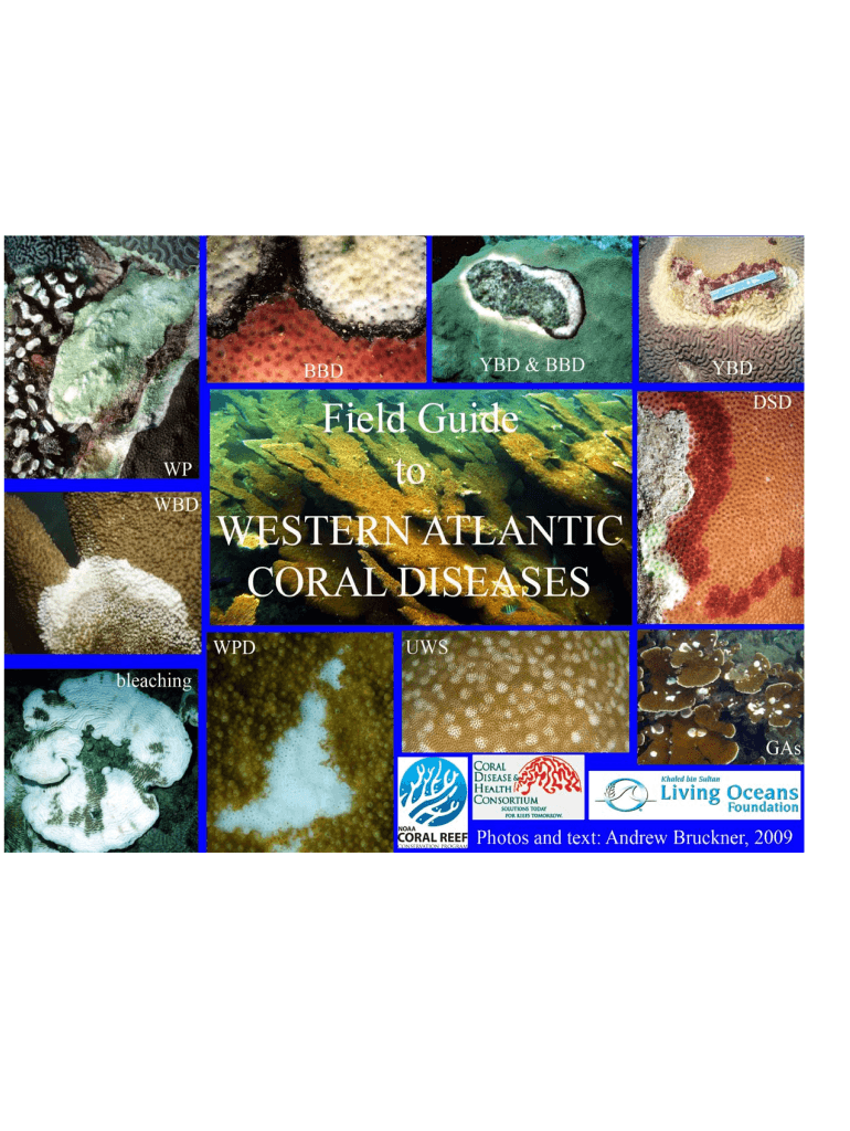 Field Guide to Western Atlantic Coral Diseases - Coral Disease and - cdhc noaa Preview on Page 1