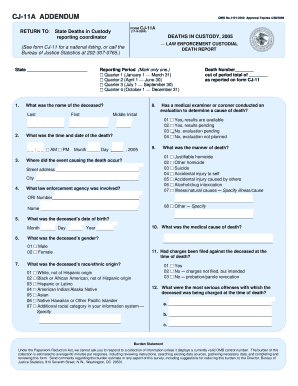 CJ-11A Death in Custody Report