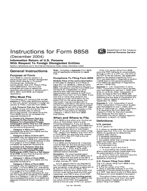 Form 8858 Instructions