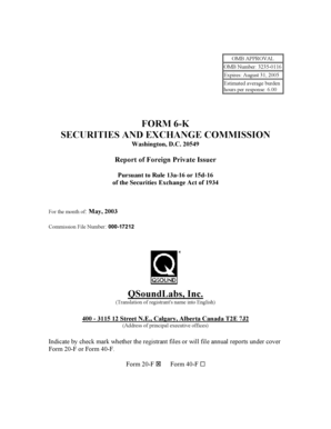 Form 6-K Report of Foreign Private Issuer