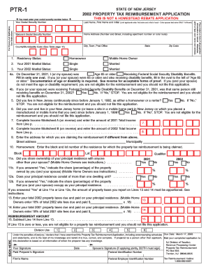 Form preview picture