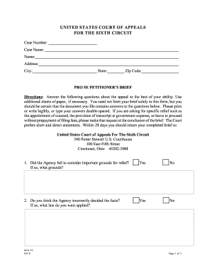 Pro Se Petitioner’s Brief