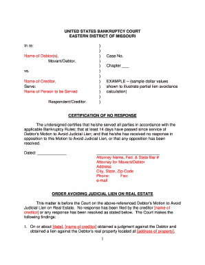 Bankruptcy Court Order to Avoid Judicial Lien