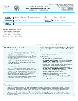 US Department of Justice Deaths in Custody Report