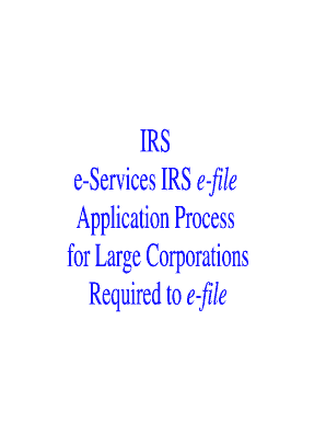 IRS e-Services Application for Large Corporations