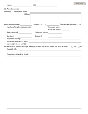 Work Experience Form