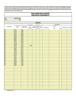 Monthly Recipient Project Status Report