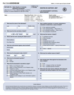 CJ-11A Death in Custody Report