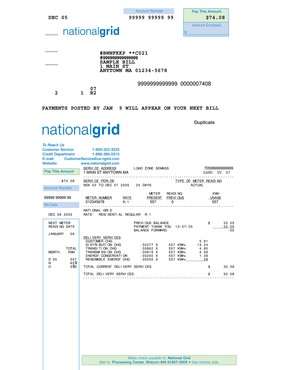 National Grid Pay Bill 