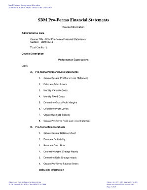pro forma income statement