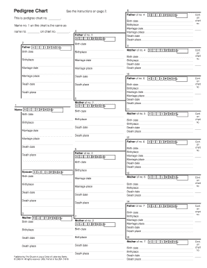 53 Printable Pedigree Chart Forms and Templates - Fillable Samples in PDF,  Word to Download