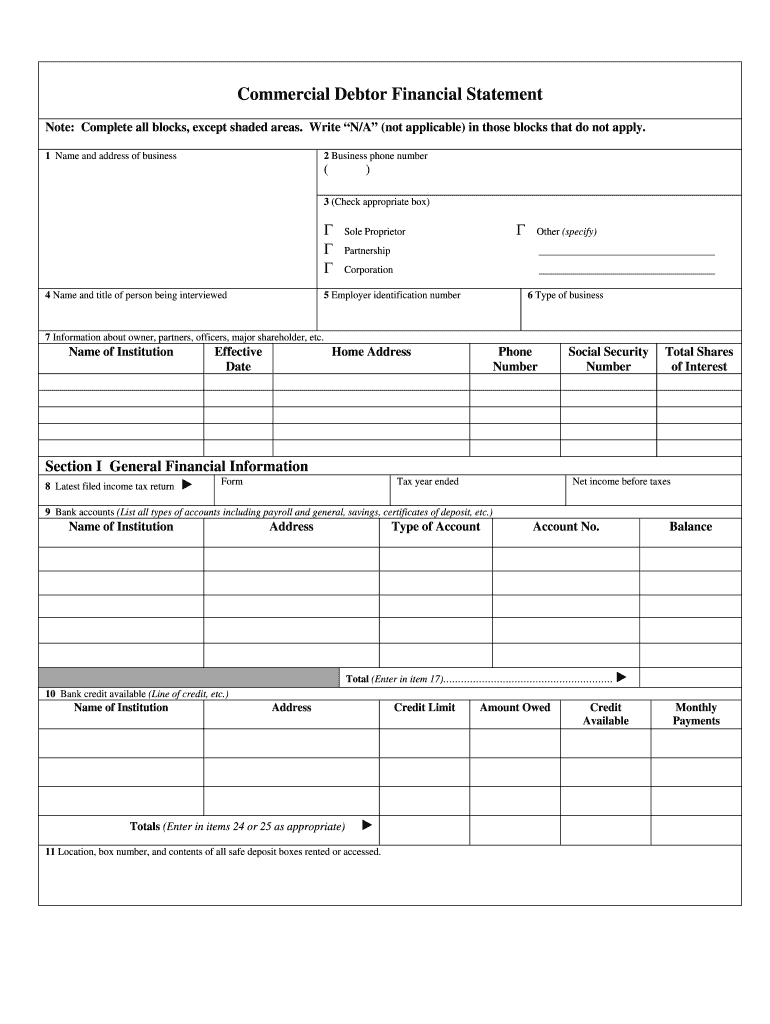 consumer debtor financial statement Preview on Page 1