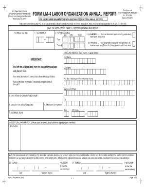 US Labor Organization Annual Report Form LM-4