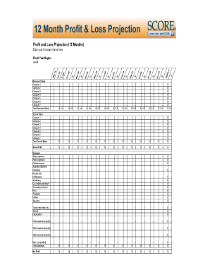 6 MONTH SELF EMPLOYMENT INCOME STATEMENT (PROFIT ...