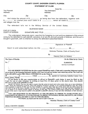 Florida Statement of Claim
