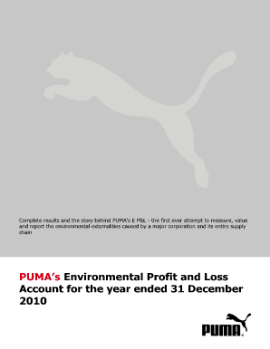 Profit and loss account format pdf - How to prepare a profit and loss (income) statement - Zions Bank