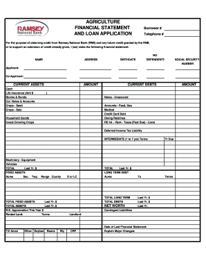 Agriculture Financial Statement and Loan Application