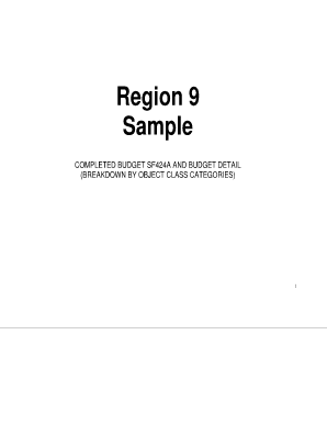 SF-424A (Budget Info-Non-Construction) - epa