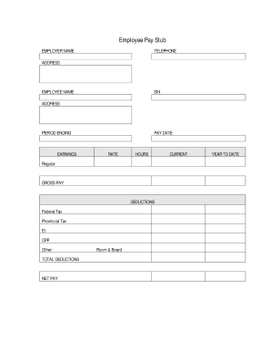 paystub template