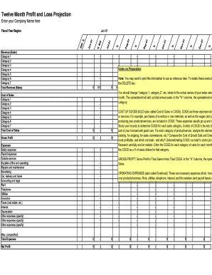 Profit and loss fillable year 1 form