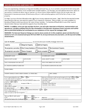 Form preview picture