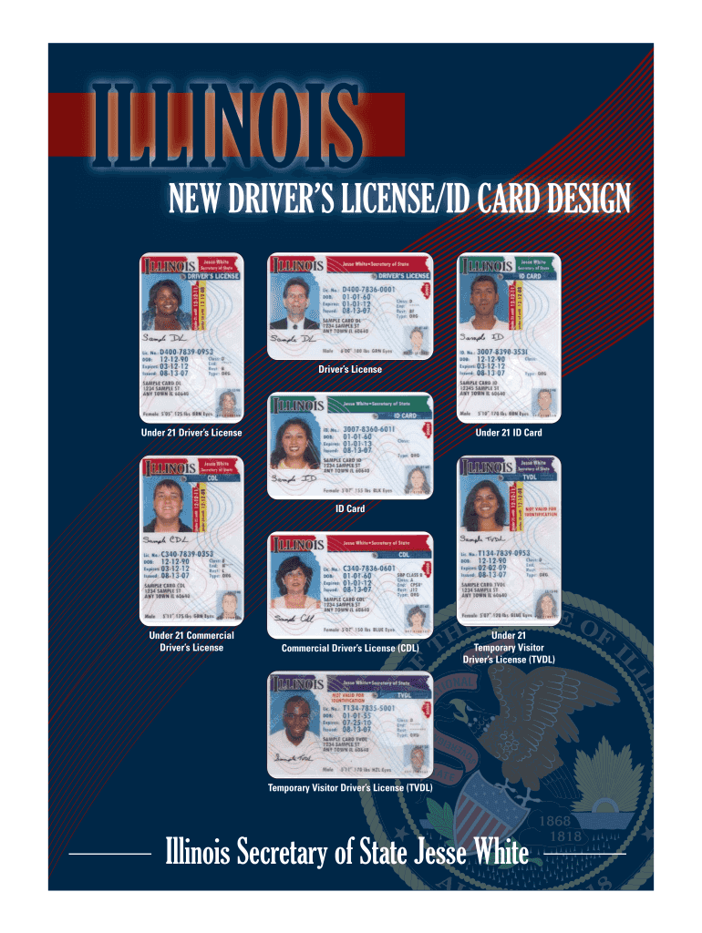 Illinois Drivers License Barcode Coding Gridver