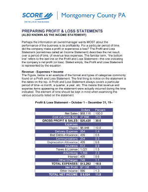 Profit and loss statement form