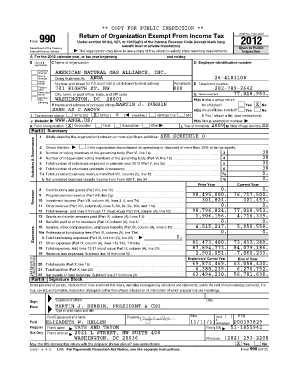 IRS Form 990 2012