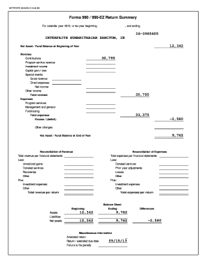 Form 990-EZ Return Summary