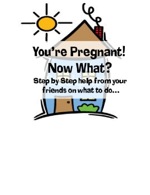 Prenatal record template - Prenatal Flip Chart.pub. Instructions for Region 1 regulated Clean Water Act permittees on submitting their discharge monitoring reports. Contains list of changes & additions as of January 2010. - nnphi