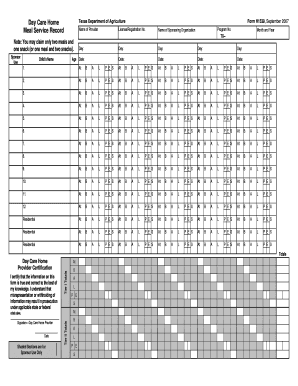 Texas Day Care Home Meal Service Record