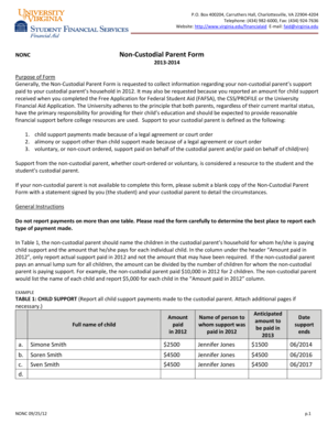 Non-Custodial Parent Form