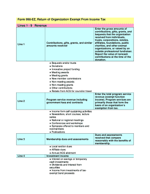 Form 990-EZ Tax Return