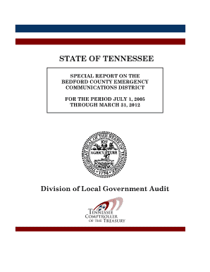 Bedford County Audit Report - Tennessee Comptroller of the Treasury - comptroller tn