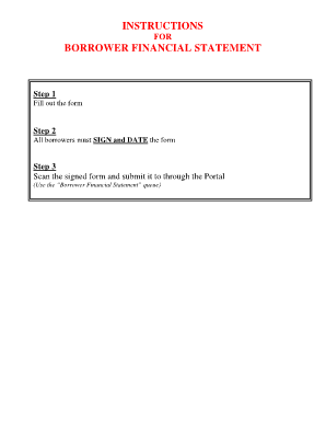 Borrower Financial Statement