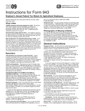Instructions for Form 943