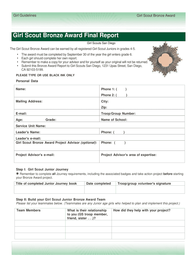 girl scout bronze award final report form Preview on Page 1