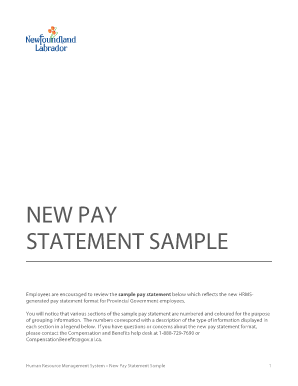 NEW PAY STATEMENT SAMPLE