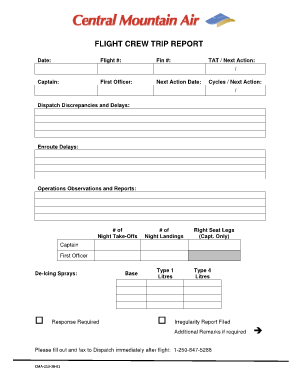 Truck driver trip report template - 130 Flight Crew Trip Report.docx