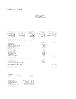 Salary payslip - Example of a payslip - media leidenuniv