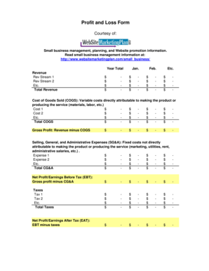 Profit and Loss Form