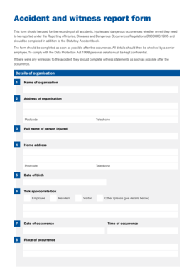 Accident and Witness Report Form