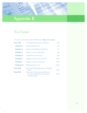 Form 1040 US Individual Income Tax Return