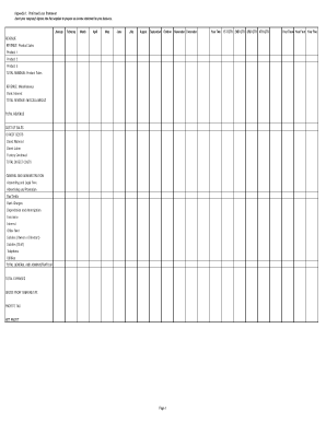 Profit and Loss Statement Template