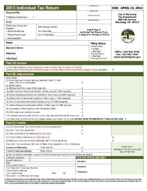 2013 Individual Tax Return