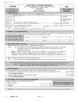 New York State Charitable Organization Annual Filing Form