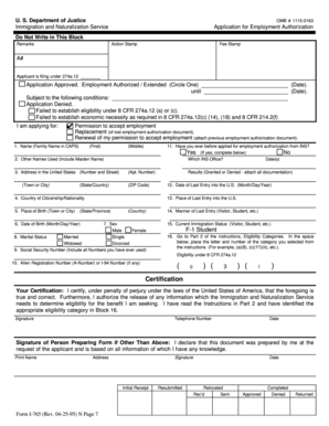 US Employment Authorization Application